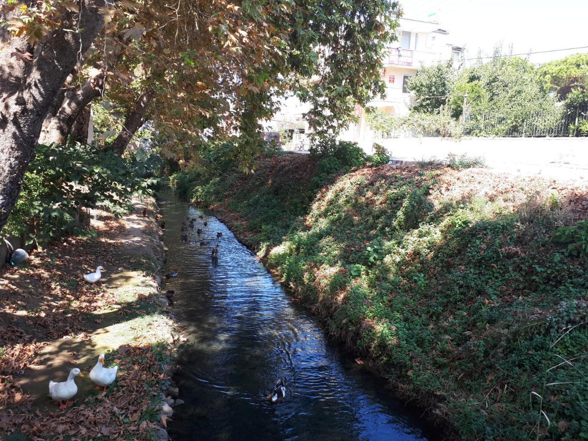 Samos Apart Pension Guzelcamlı Εξωτερικό φωτογραφία